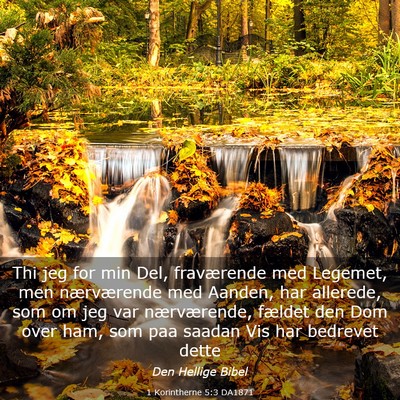 Picture 03 - 1 Korintherne 5:3 DA1871 - Thi jeg for min Del, fraværende med Legemet, men - Bible Verse Picture