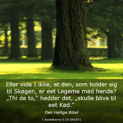 Picture 03 - 1 Korintherne 6:16 DA1871 - Eller vide I ikke, at den, som holder sig til - Bible Verse Picture