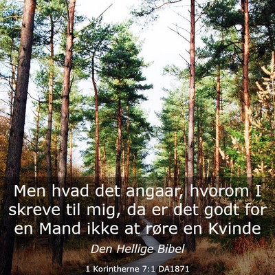 Picture 03 - 1 Korintherne 7:1 DA1871 - Men hvad det angaar, hvorom I skreve til mig, da - Bible Verse Picture