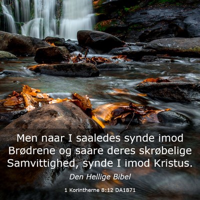 Picture 03 - 1 Korintherne 8:12 DA1871 - Men naar I saaledes synde imod Brødrene og saare - Bible Verse Picture