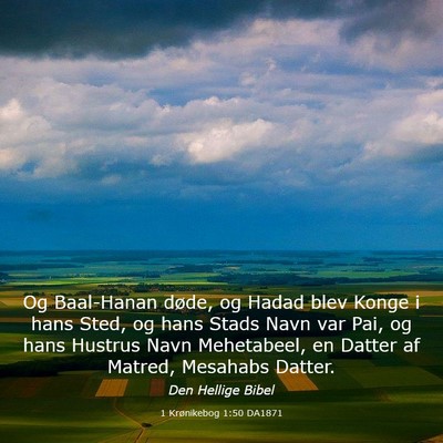 Picture 03 - 1 Krønikebog 1:50 DA1871 - Og Baal-Hanan døde, og Hadad blev Konge i hans - Bible Verse Picture