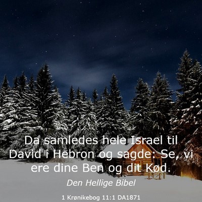 Picture 03 - 1 Krønikebog 11:1 DA1871 - Da samledes hele Israel til David i Hebron og - Bible Verse Picture