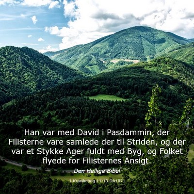 Picture 03 - 1 Krønikebog 11:13 DA1871 - Han var med David i Pasdammin, der Filisterne - Bible Verse Picture