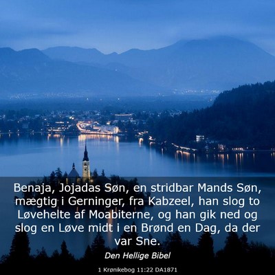 Picture 03 - 1 Krønikebog 11:22 DA1871 - Benaja, Jojadas Søn, en stridbar Mands Søn, - Bible Verse Picture