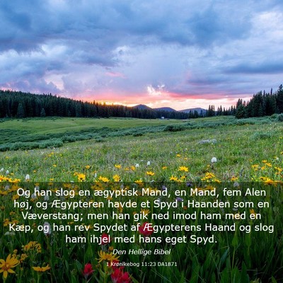 Picture 03 - 1 Krønikebog 11:23 DA1871 - Og han slog en ægyptisk Mand, en Mand, fem Alen - Bible Verse Picture