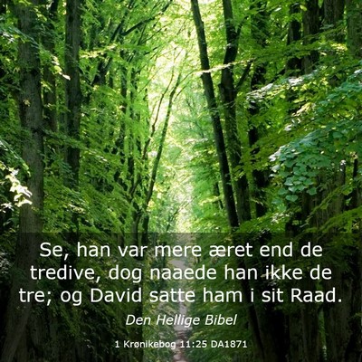Picture 03 - 1 Krønikebog 11:25 DA1871 - Se, han var mere æret end de tredive, dog naaede - Bible Verse Picture