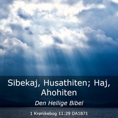 Picture 03 - 1 Krønikebog 11:29 DA1871 - Sibekaj, Husathiten; Haj, - Bible Verse Picture