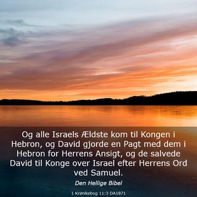 Picture 03 - 1 Krønikebog 11:3 DA1871 - Og alle Israels Ældste kom til Kongen i Hebron, - Bible Verse Picture