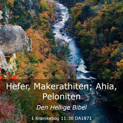 Picture 03 - 1 Krønikebog 11:36 DA1871 - Hefer, Makerathiten; Ahia, - Bible Verse Picture