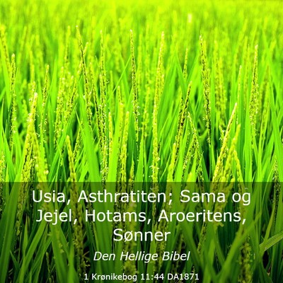 Picture 03 - 1 Krønikebog 11:44 DA1871 - Usia, Asthratiten; Sama og Jejel, Hotams, - Bible Verse Picture