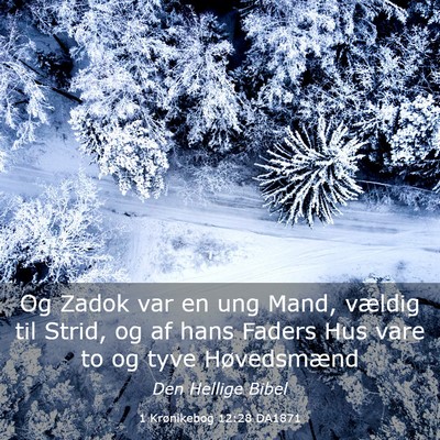 Picture 03 - 1 Krønikebog 12:28 DA1871 - Og Zadok var en ung Mand, vældig til Strid, og - Bible Verse Picture