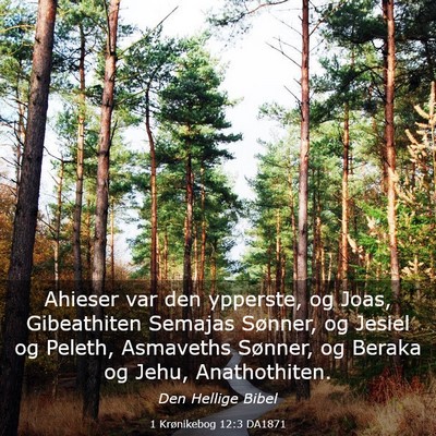 Picture 03 - 1 Krønikebog 12:3 DA1871 - Ahieser var den ypperste, og Joas, Gibeathiten - Bible Verse Picture