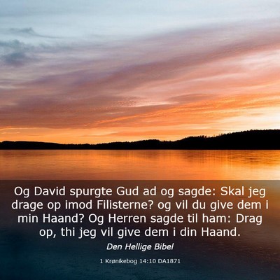 Picture 03 - 1 Krønikebog 14:10 DA1871 - Og David spurgte Gud ad og sagde: Skal jeg drage - Bible Verse Picture