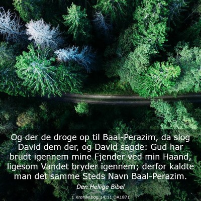 Picture 03 - 1 Krønikebog 14:11 DA1871 - Og der de droge op til Baal-Perazim, da slog - Bible Verse Picture