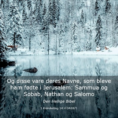 Picture 03 - 1 Krønikebog 14:4 DA1871 - Og disse vare deres Navne, som bleve ham fødte i - Bible Verse Picture