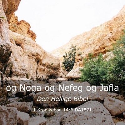 Picture 03 - 1 Krønikebog 14:6 DA1871 - og Noga og Nefeg og - Bible Verse Picture