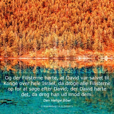 Picture 03 - 1 Krønikebog 14:8 DA1871 - Og der Filisterne hørte, at David var salvet til - Bible Verse Picture