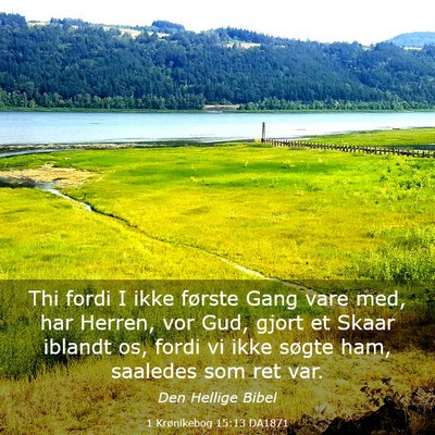 Picture 03 - 1 Krønikebog 15:13 DA1871 - Thi fordi I ikke første Gang vare med, har - Bible Verse Picture