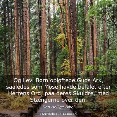 Picture 03 - 1 Krønikebog 15:15 DA1871 - Og Levi Børn opløftede Guds Ark, saaledes som - Bible Verse Picture