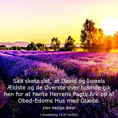 Picture 03 - 1 Krønikebog 15:25 DA1871 - Saa skete det, at David og Israels Ældste og de - Bible Verse Picture