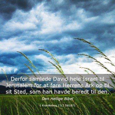 Picture 03 - 1 Krønikebog 15:3 DA1871 - Derfor samlede David hele Israel til Jerusalem - Bible Verse Picture