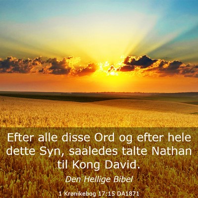Picture 03 - 1 Krønikebog 17:15 DA1871 - Efter alle disse Ord og efter hele dette Syn, - Bible Verse Picture
