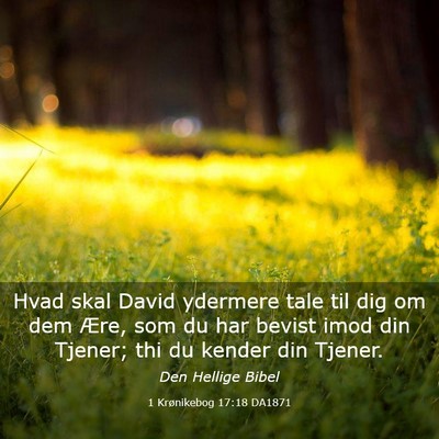 Picture 03 - 1 Krønikebog 17:18 DA1871 - Hvad skal David ydermere tale til dig om dem - Bible Verse Picture