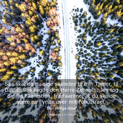 Picture 03 - 1 Krønikebog 17:7 DA1871 - Saa skal du nu sige saaledes til min Tjener, til - Bible Verse Picture