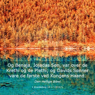 Picture 03 - 1 Krønikebog 18:17 DA1871 - Og Benaja, Jojadas Søn, var over de Krethi og de - Bible Verse Picture