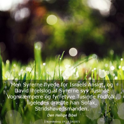 Picture 03 - 1 Krønikebog 19:18 DA1871 - Men Syrerne flyede for Israels Ansigt, og David - Bible Verse Picture