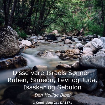 Picture 03 - 1 Krønikebog 2:1 DA1871 - Disse vare Israels Sønner: Ruben, Simeon, Levi - Bible Verse Picture