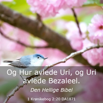 Picture 03 - 1 Krønikebog 2:20 DA1871 - Og Hur avlede Uri, og Uri avlede - Bible Verse Picture