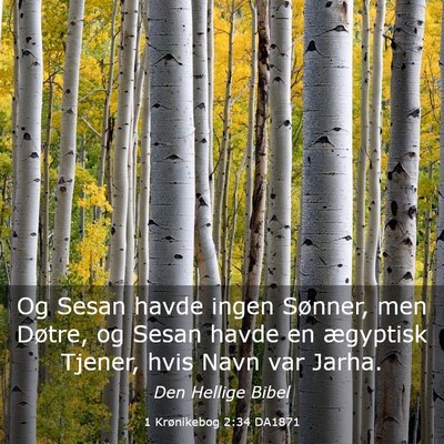 Picture 03 - 1 Krønikebog 2:34 DA1871 - Og Sesan havde ingen Sønner, men Døtre, og - Bible Verse Picture