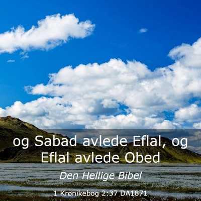 Picture 03 - 1 Krønikebog 2:37 DA1871 - og Sabad avlede Eflal, og Eflal avlede - Bible Verse Picture