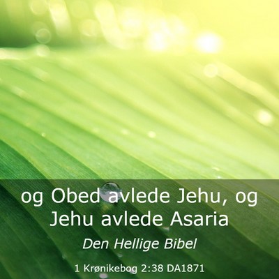 Picture 03 - 1 Krønikebog 2:38 DA1871 - og Obed avlede Jehu, og Jehu avlede - Bible Verse Picture