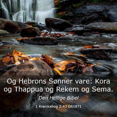 Picture 03 - 1 Krønikebog 2:43 DA1871 - Og Hebrons Sønner vare: Kora og Thappua og Rekem - Bible Verse Picture