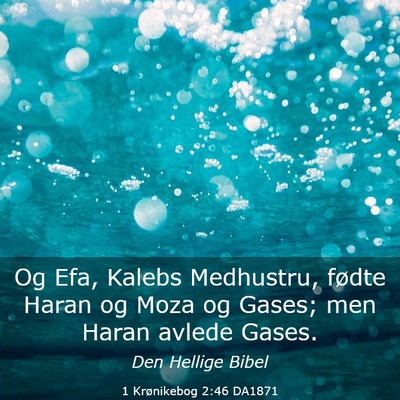 Picture 03 - 1 Krønikebog 2:46 DA1871 - Og Efa, Kalebs Medhustru, fødte Haran og Moza og - Bible Verse Picture