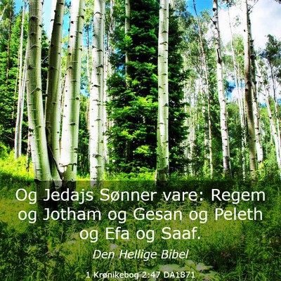 Picture 03 - 1 Krønikebog 2:47 DA1871 - Og Jedajs Sønner vare: Regem og Jotham og Gesan - Bible Verse Picture