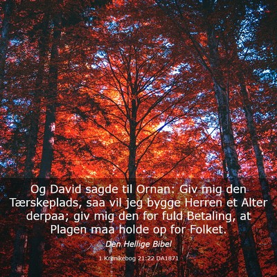 Picture 03 - 1 Krønikebog 21:22 DA1871 - Og David sagde til Ornan: Giv mig den - Bible Verse Picture