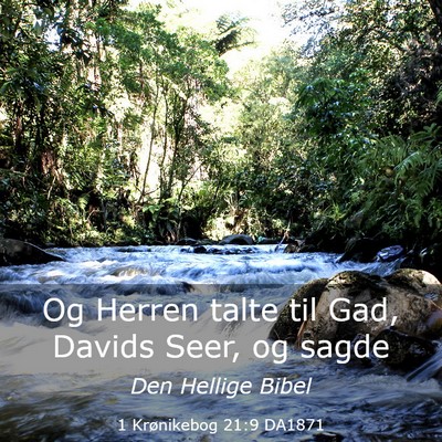 Picture 03 - 1 Krønikebog 21:9 DA1871 - Og Herren talte til Gad, Davids Seer, og - Bible Verse Picture
