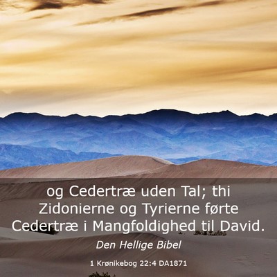 Picture 03 - 1 Krønikebog 22:4 DA1871 - og Cedertræ uden Tal; thi Zidonierne og Tyrierne - Bible Verse Picture