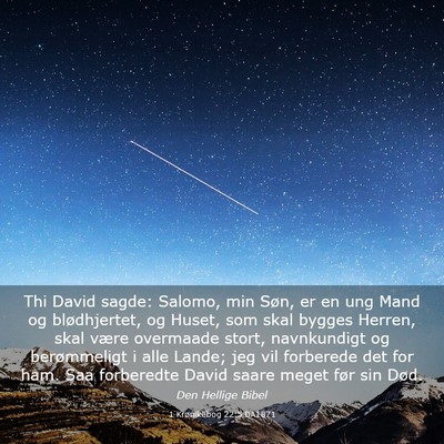 Picture 03 - 1 Krønikebog 22:5 DA1871 - Thi David sagde: Salomo, min Søn, er en ung Mand - Bible Verse Picture