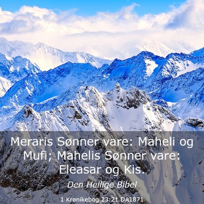 Picture 03 - 1 Krønikebog 23:21 DA1871 - Meraris Sønner vare: Maheli og Mufi; Mahelis - Bible Verse Picture