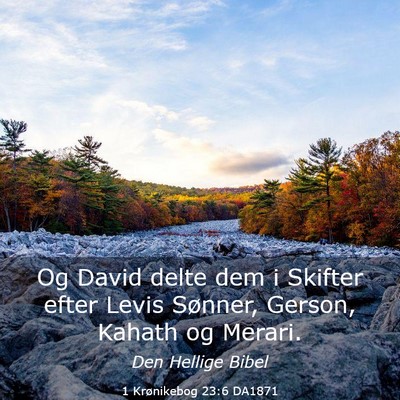Picture 03 - 1 Krønikebog 23:6 DA1871 - Og David delte dem i Skifter efter Levis Sønner, - Bible Verse Picture