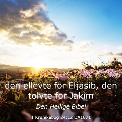 Picture 03 - 1 Krønikebog 24:12 DA1871 - den ellevte for Eljasib, den tolvte for - Bible Verse Picture