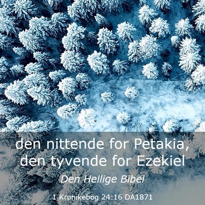 Picture 03 - 1 Krønikebog 24:16 DA1871 - den nittende for Petakia, den tyvende for - Bible Verse Picture
