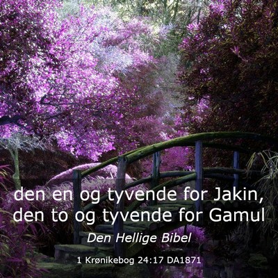 Picture 03 - 1 Krønikebog 24:17 DA1871 - den en og tyvende for Jakin, den to og tyvende - Bible Verse Picture