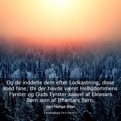 Picture 03 - 1 Krønikebog 24:5 DA1871 - Og de inddelte dem efter Lodkastning, disse med - Bible Verse Picture