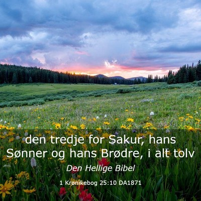 Picture 03 - 1 Krønikebog 25:10 DA1871 - den tredje for Sakur, hans Sønner og hans - Bible Verse Picture