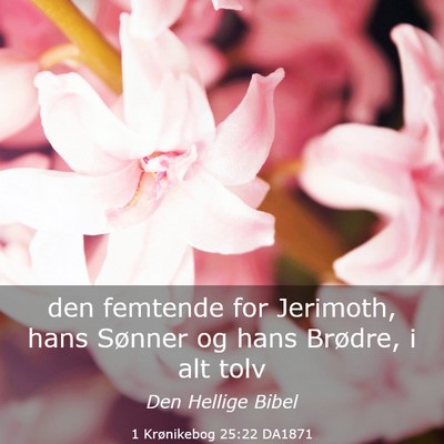 Picture 03 - 1 Krønikebog 25:22 DA1871 - den femtende for Jerimoth, hans Sønner og hans - Bible Verse Picture